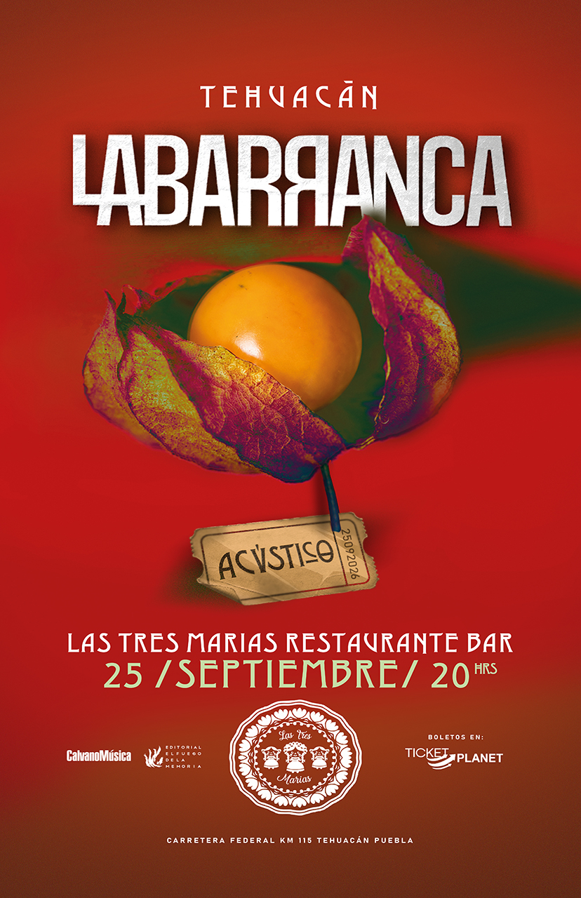 METEPEC ACUSTICO